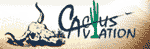 cactus avaition